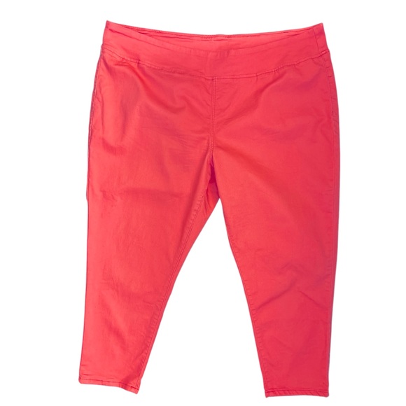 Diana Gilman Coral Pants Stretchy Women's Size 3X - Picture 1 of 4